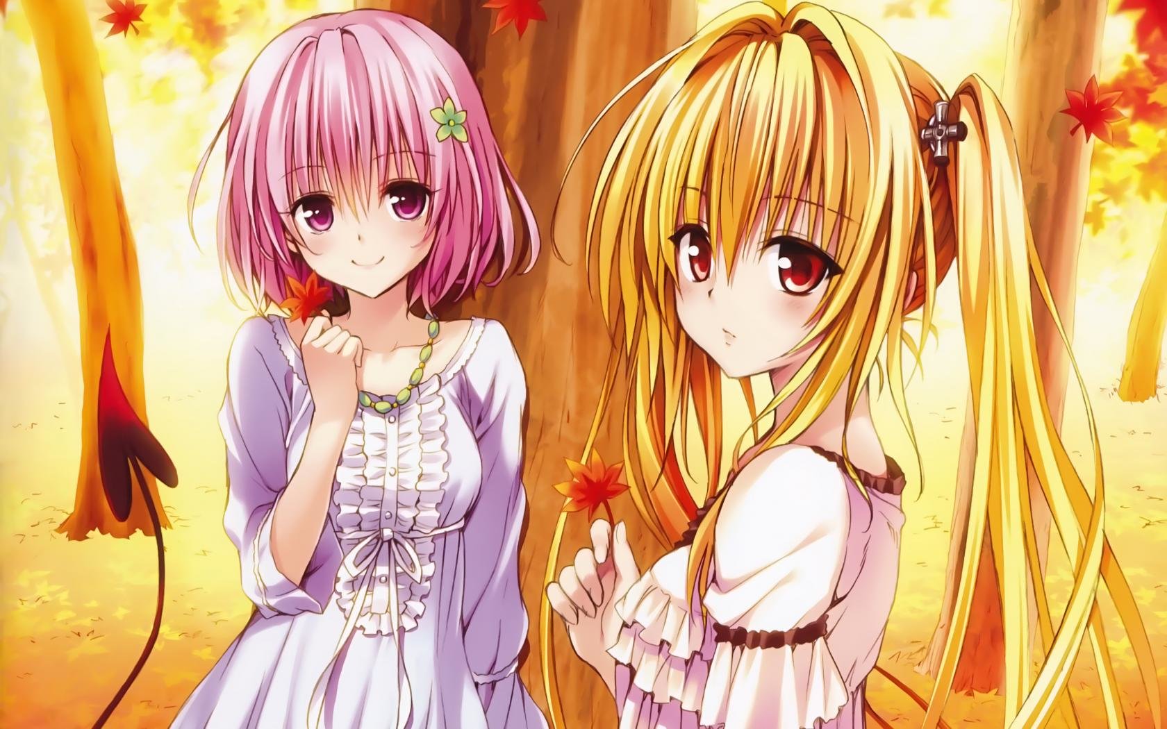 High resolution To Love-Ru: Darkness hd 1680x1050 background ID:360440 for PC
