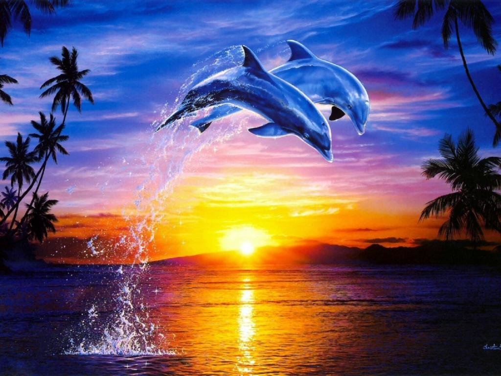 Best Dolphin background ID:248304 for High Resolution hd 1024x768 PC