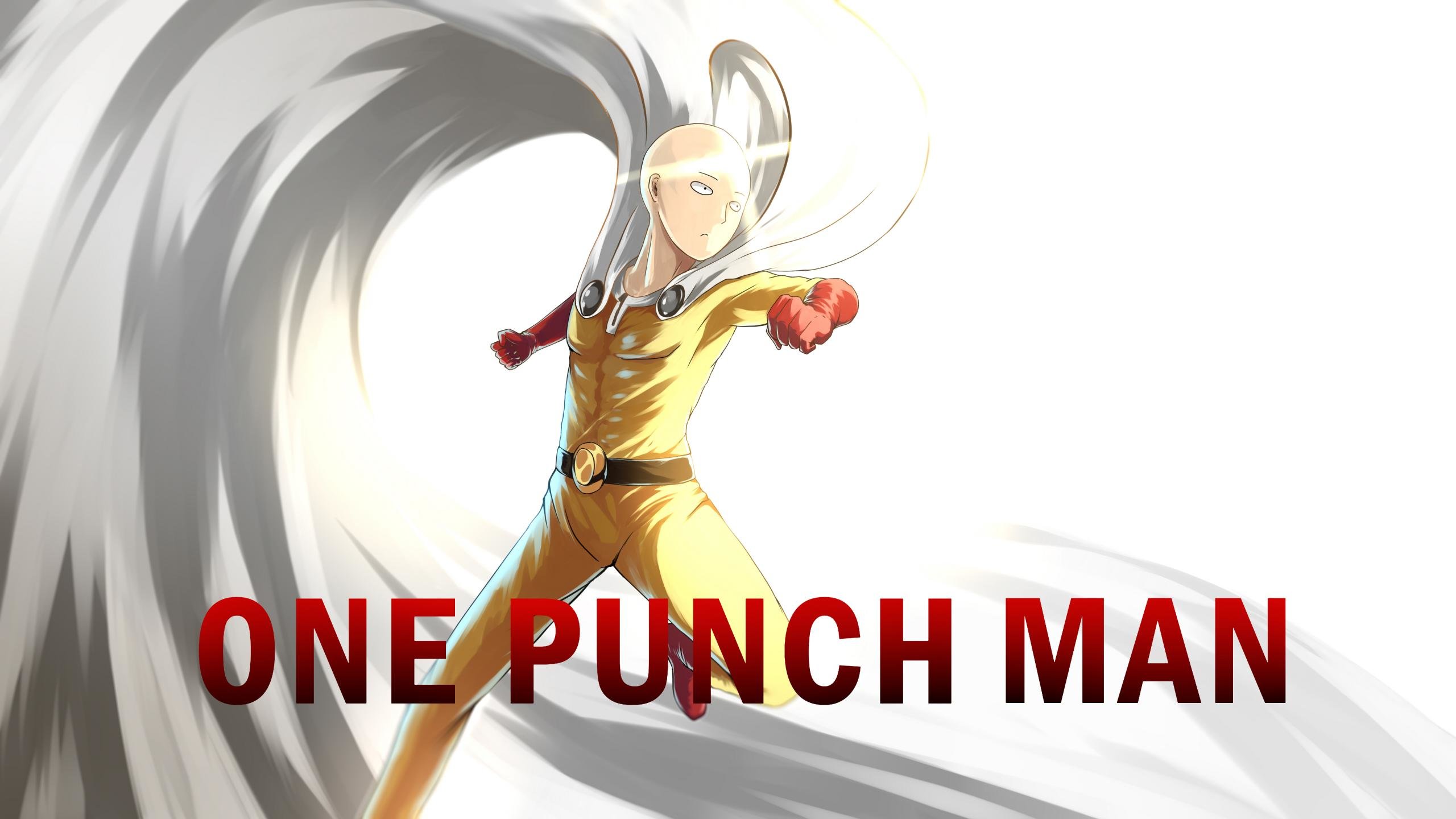 Best Saitama (One-Punch Man) wallpaper ID:345314 for High Resolution hd 2560x1440 desktop