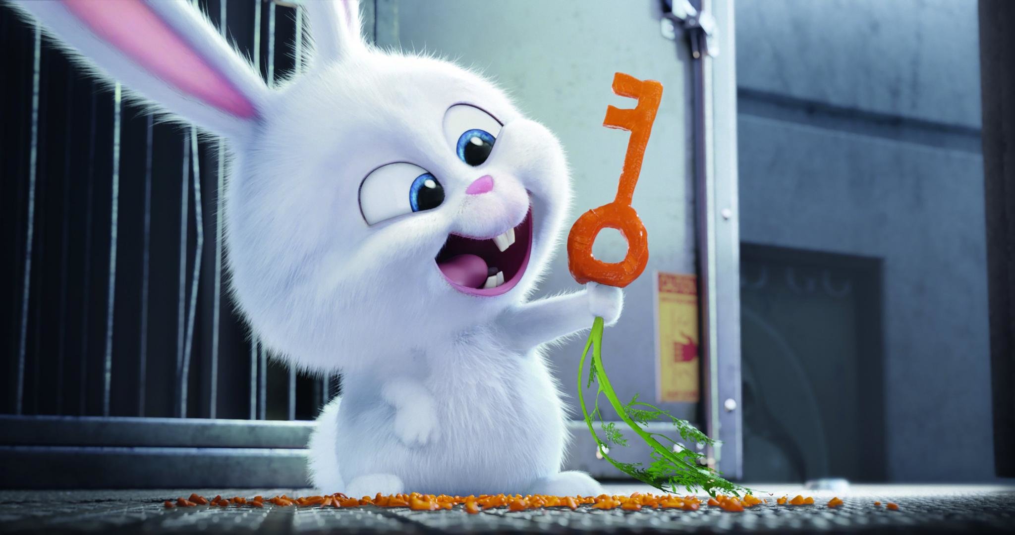 Awesome The Secret Life Of Pets free wallpaper ID:211952 for hd 2048x1080 PC