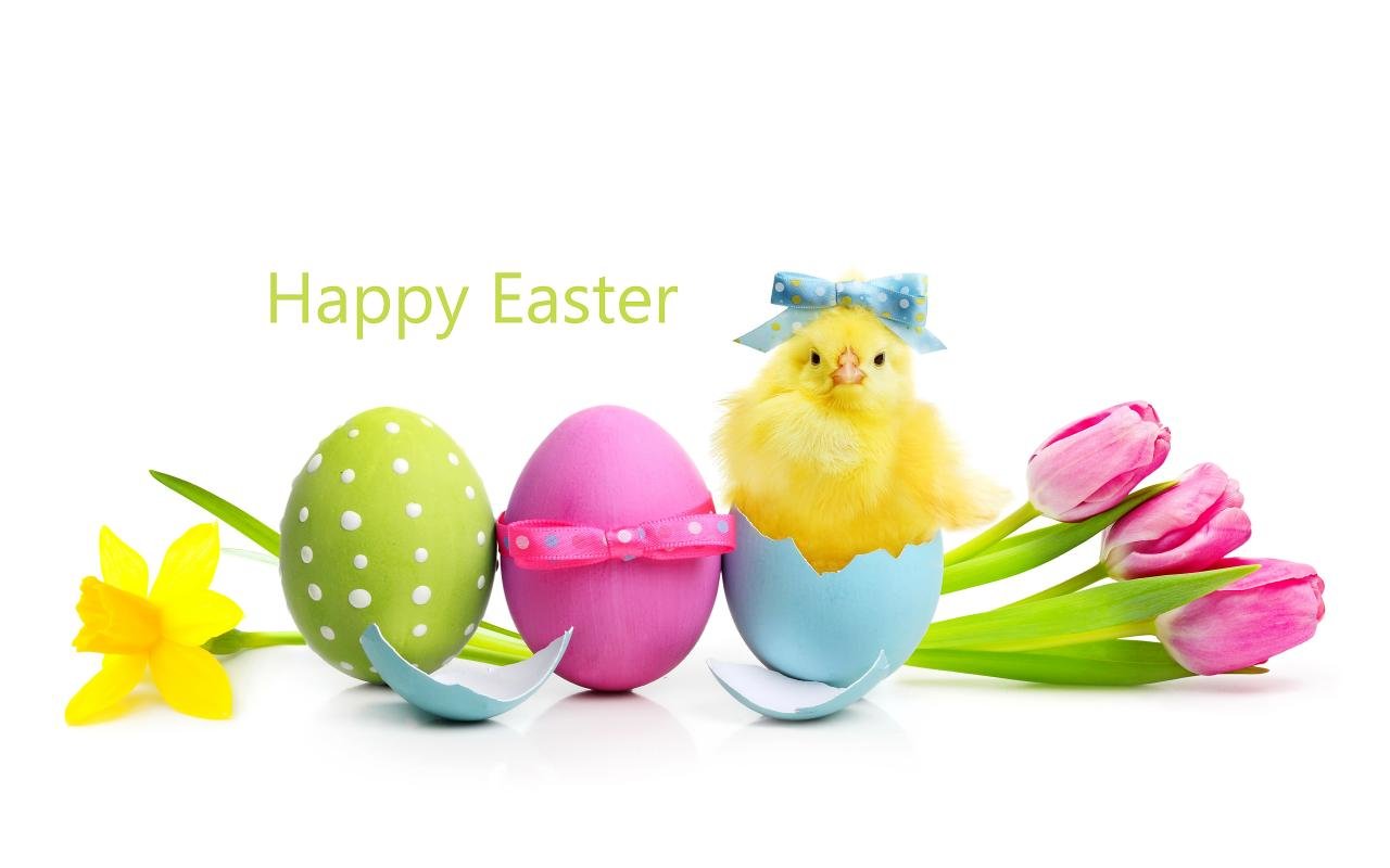 Awesome Easter free background ID:324870 for hd 1280x800 desktop