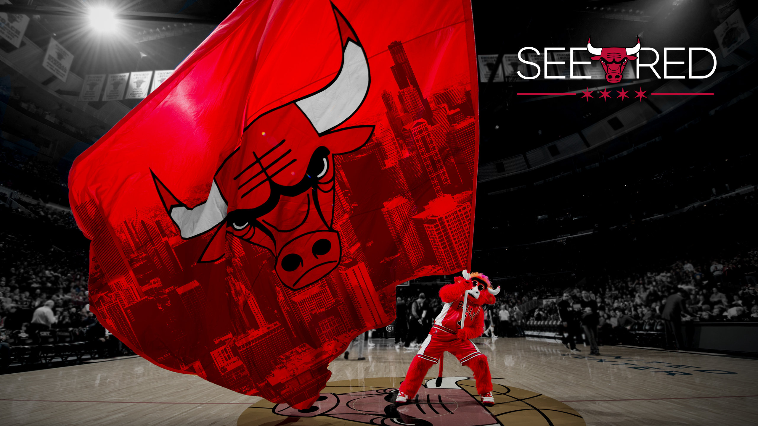 Awesome Chicago Bulls free background ID:138097 for hd 2560x1440 PC