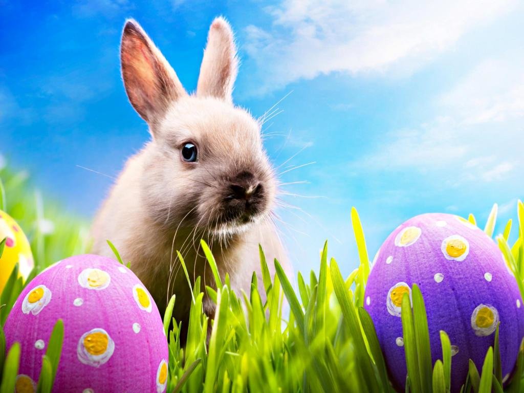 Best Easter background ID:324933 for High Resolution hd 1024x768 computer