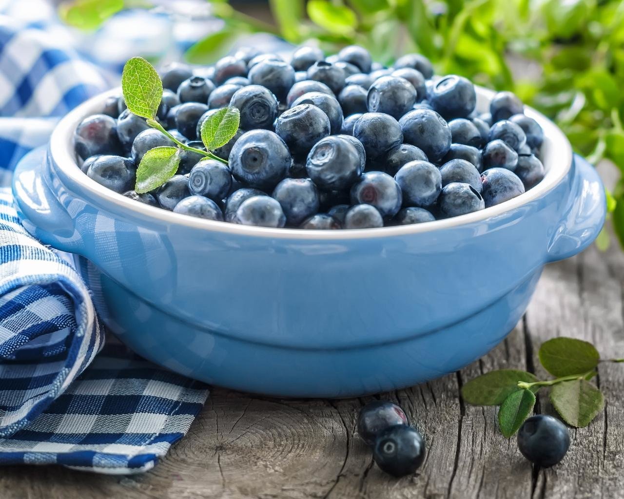 Free Blueberry high quality background ID:69041 for hd 1280x1024 PC