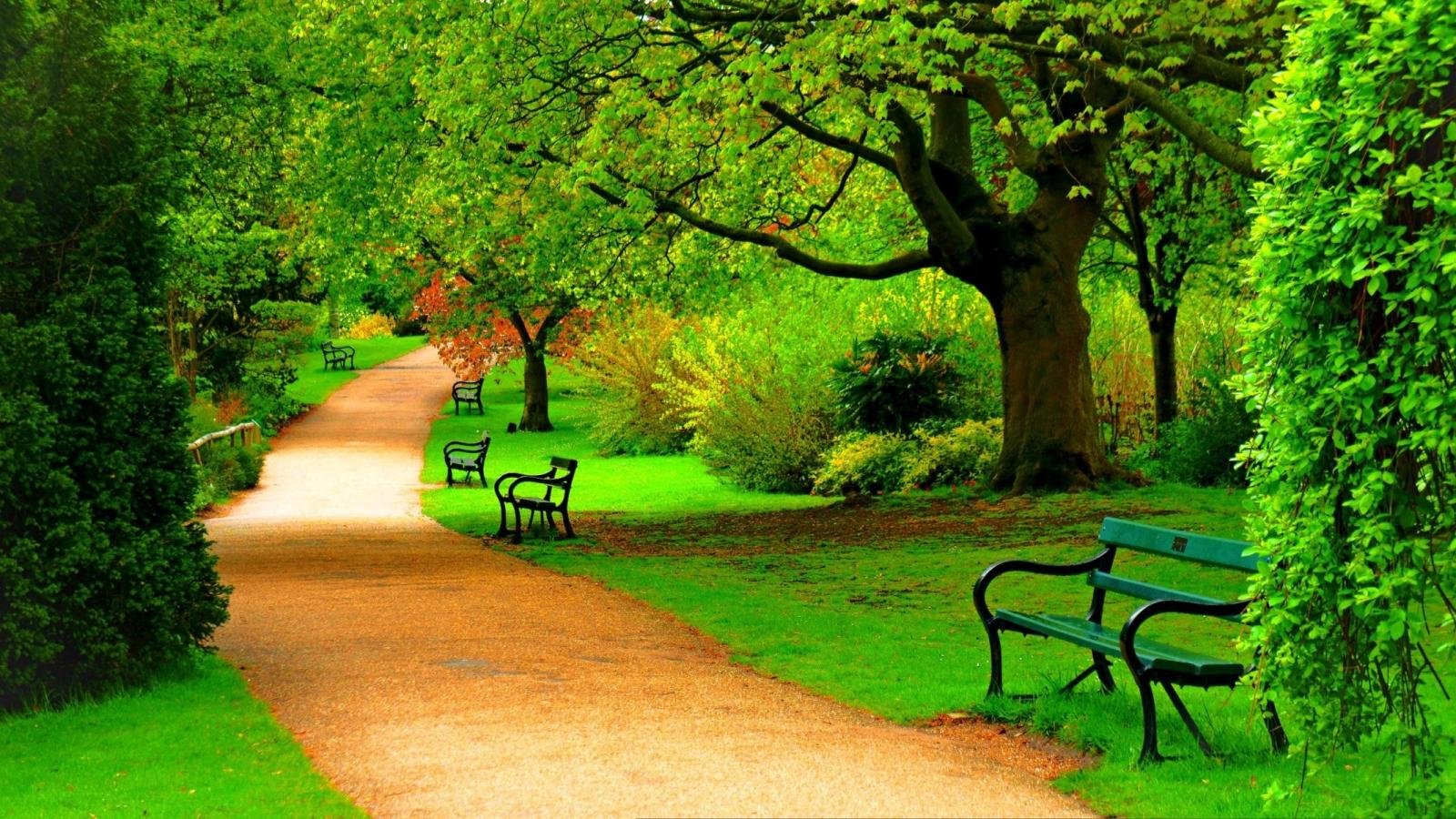 Free download Park background ID:99124 hd 1600x900 for desktop