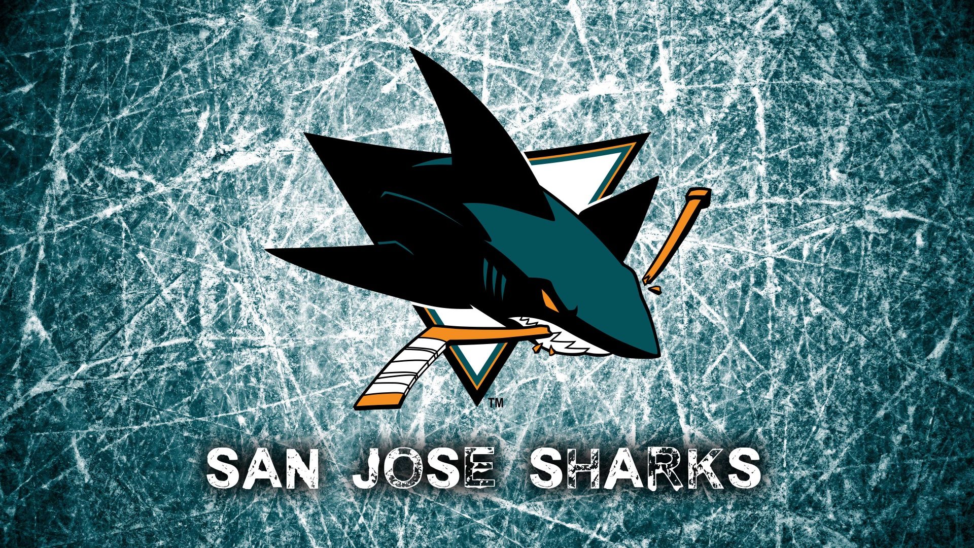 Best San Jose Sharks background ID:68959 for High Resolution full hd PC