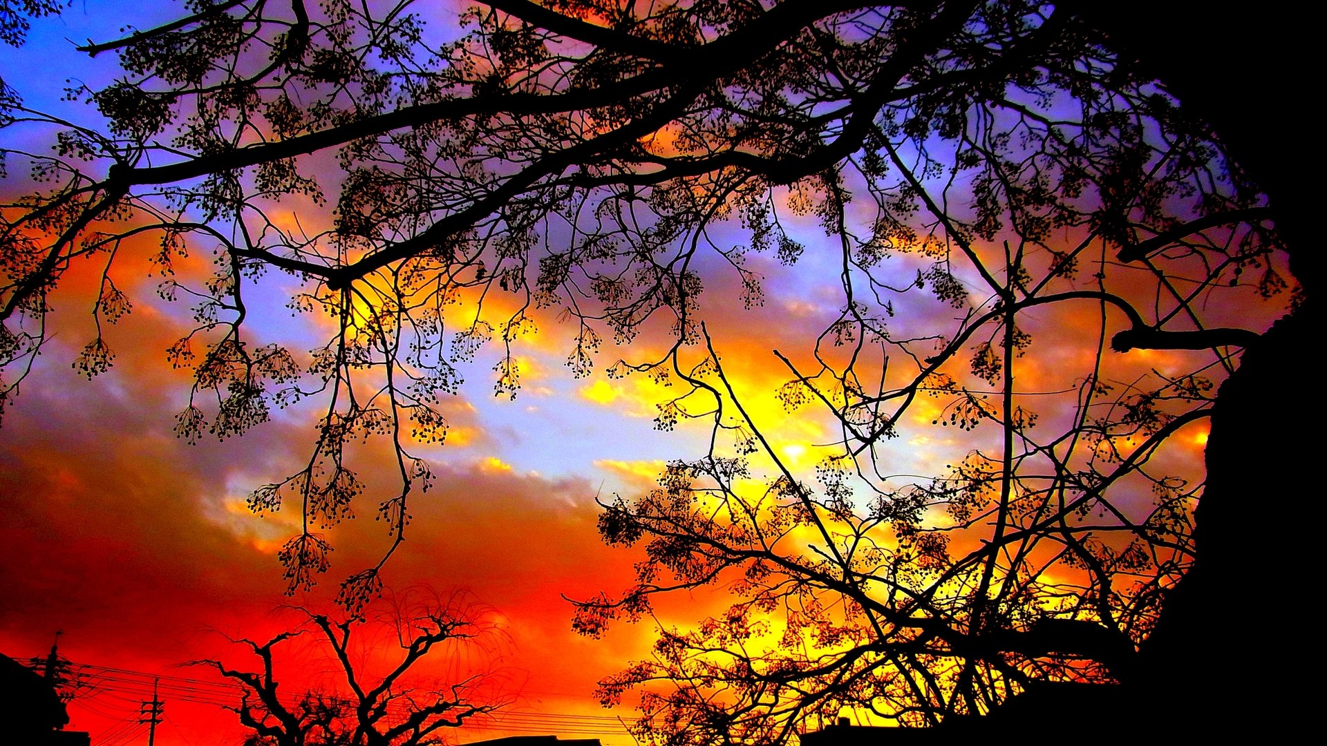 High resolution Sunset hd 1080p wallpaper ID:200908 for PC