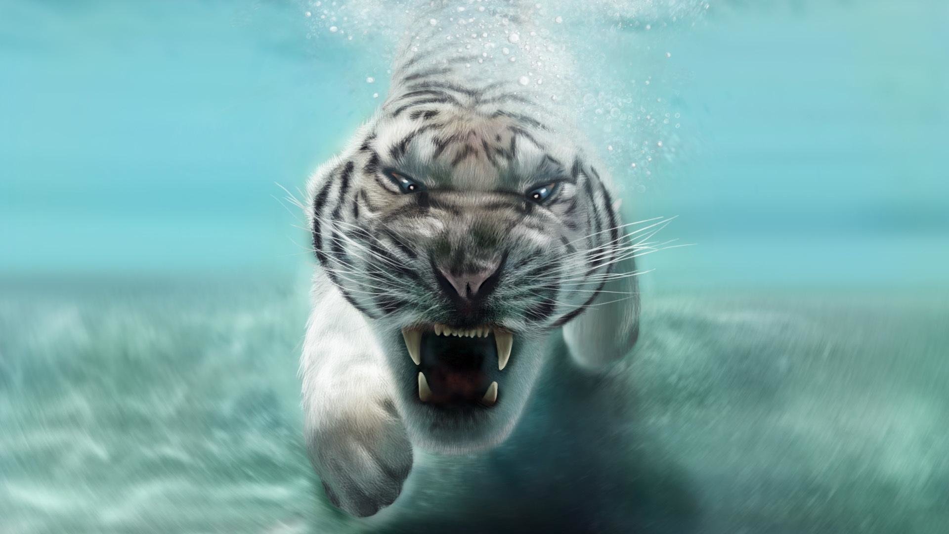 Free download White Tiger wallpaper ID:174972 full hd for computer