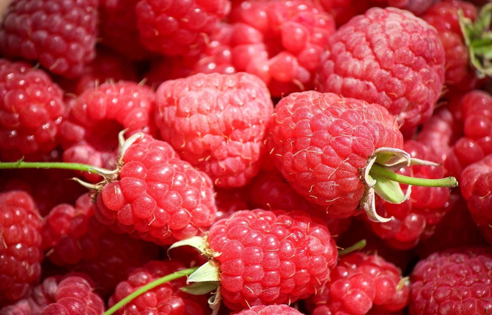 High resolution Raspberry hd 1600x1024 background ID:50083 for computer