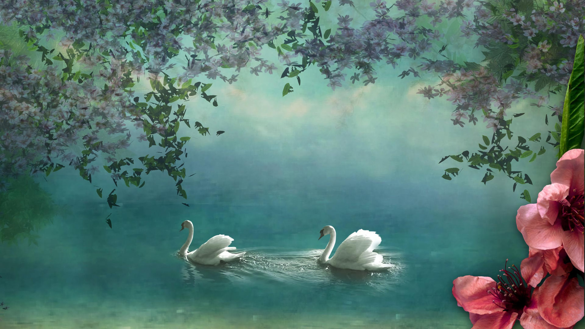 Awesome Swan free background ID:169338 for hd 1920x1080 desktop