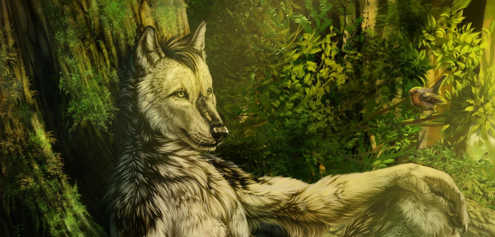 Best Wolf Fantasy background ID:346569 for High Resolution hd 1600x768 computer