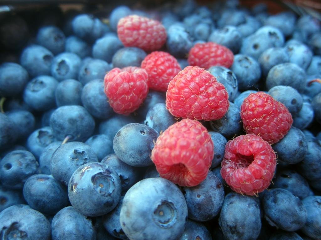 Awesome Berry free background ID:178384 for hd 1024x768 PC