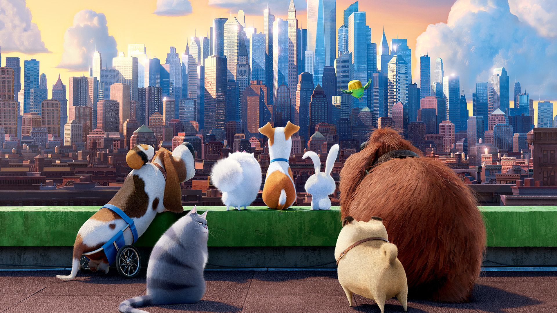 Best The Secret Life Of Pets wallpaper ID:211958 for High Resolution full hd 1920x1080 computer