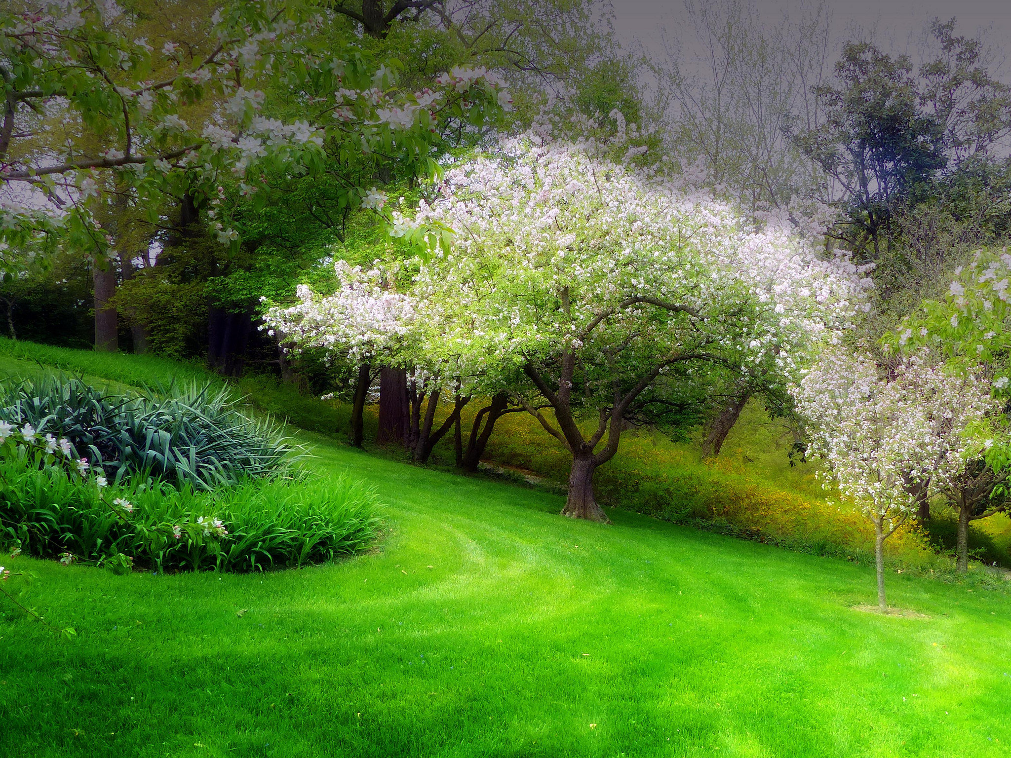 Free download Spring background ID:104095 hd 2048x1536 for computer
