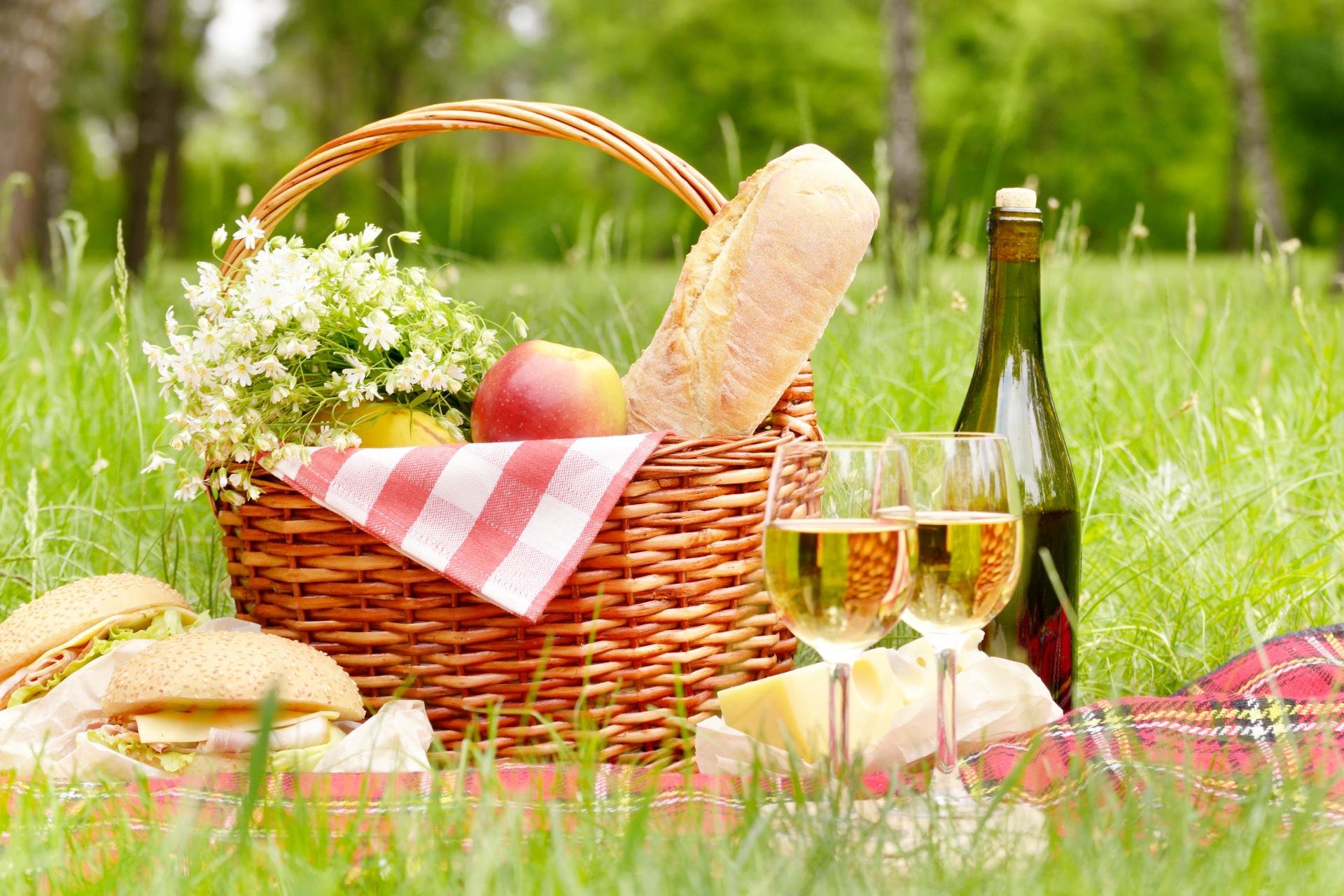Awesome Picnic free wallpaper ID:353039 for hd 1920x1280 PC