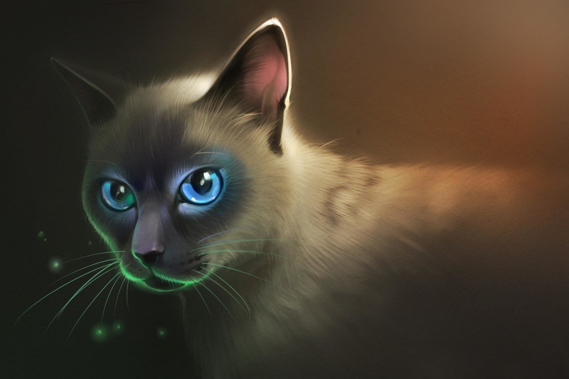 Awesome Cat Fantasy free background ID:247047 for hd 1920x1280 computer