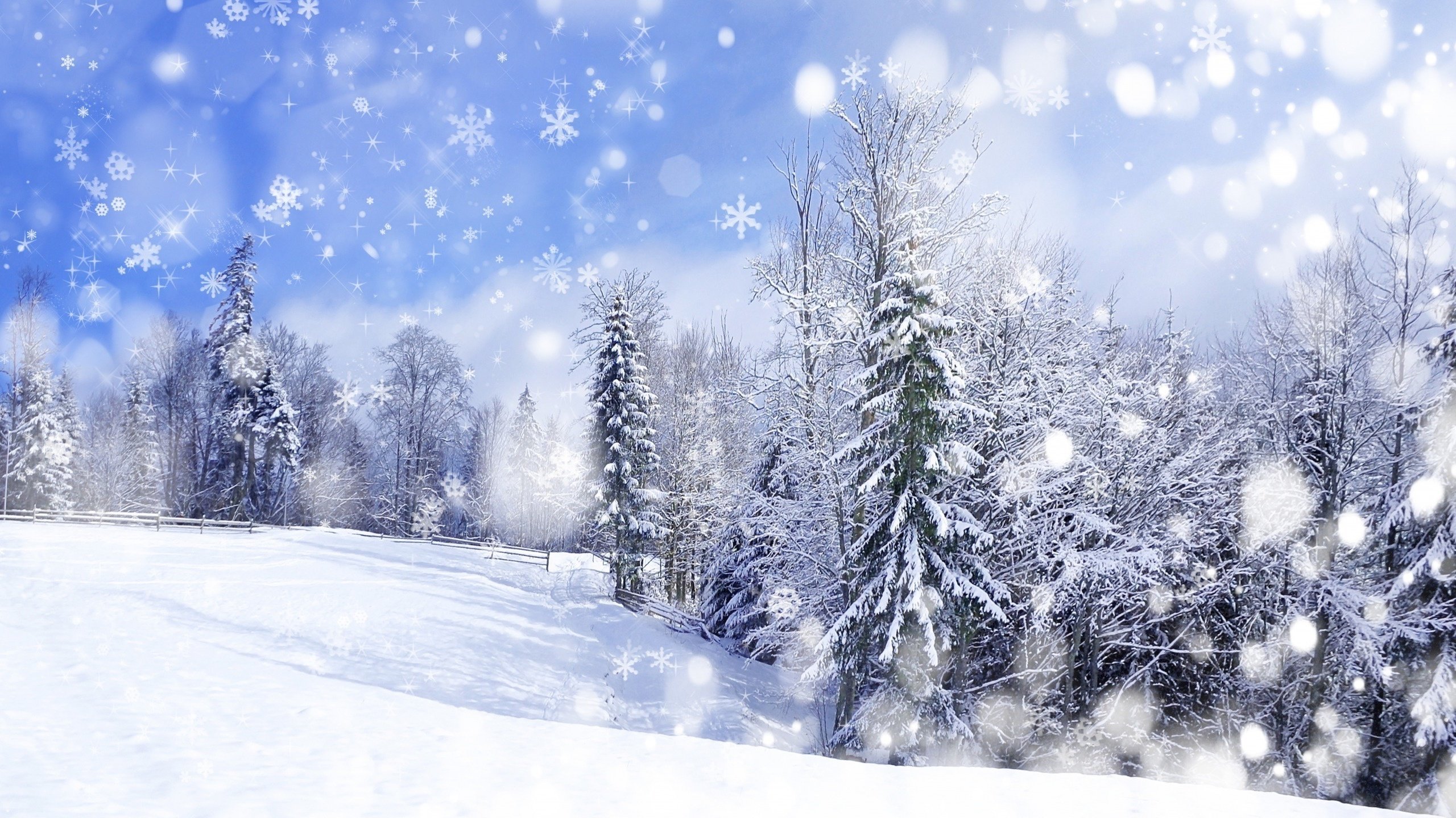 Free download Cool winter art background ID:294593 hd 2560x1440 for computer