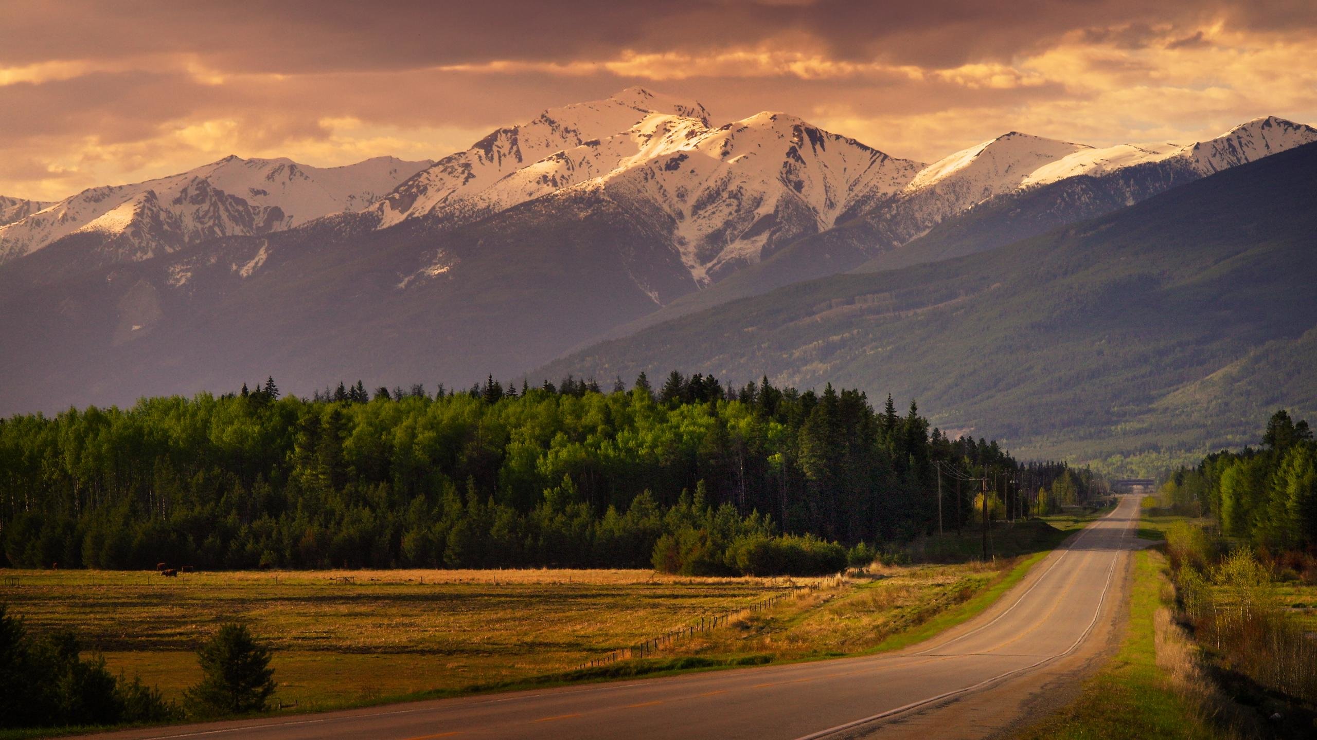 Best Road wallpaper ID:491672 for High Resolution hd 2560x1440 computer