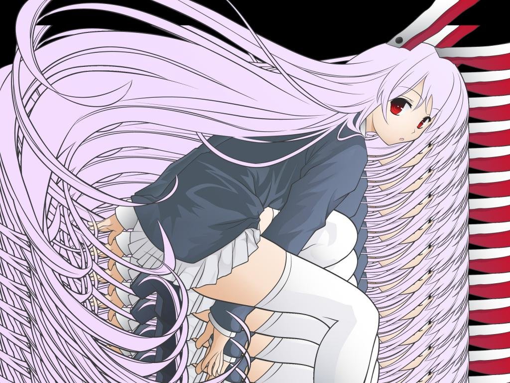 Awesome Reisen Udongein Inaba free wallpaper ID:224512 for hd 1024x768 PC