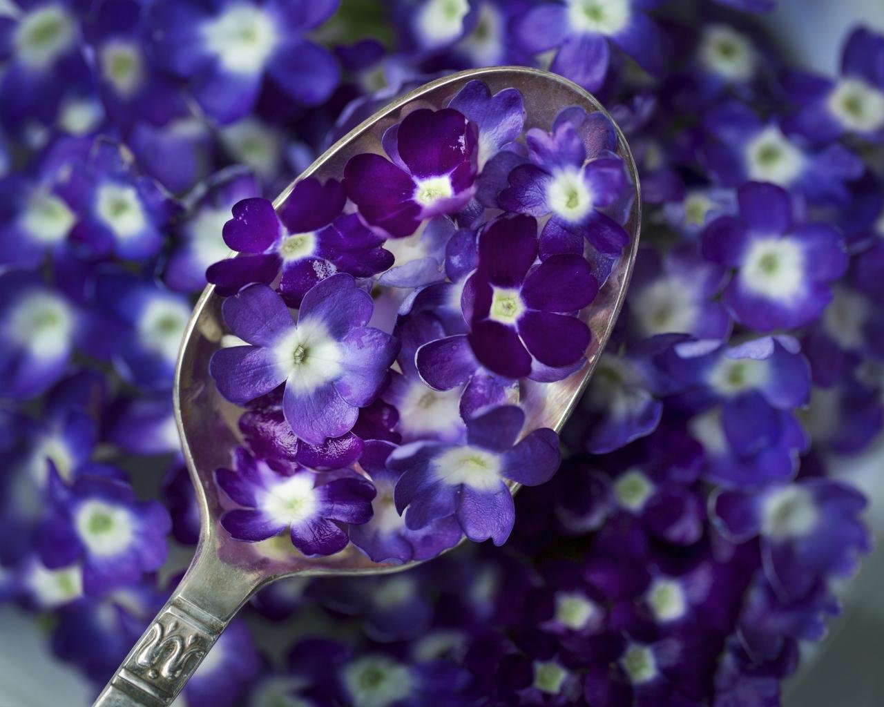 Best Flower bouquet background ID:179852 for High Resolution hd 1280x1024 desktop