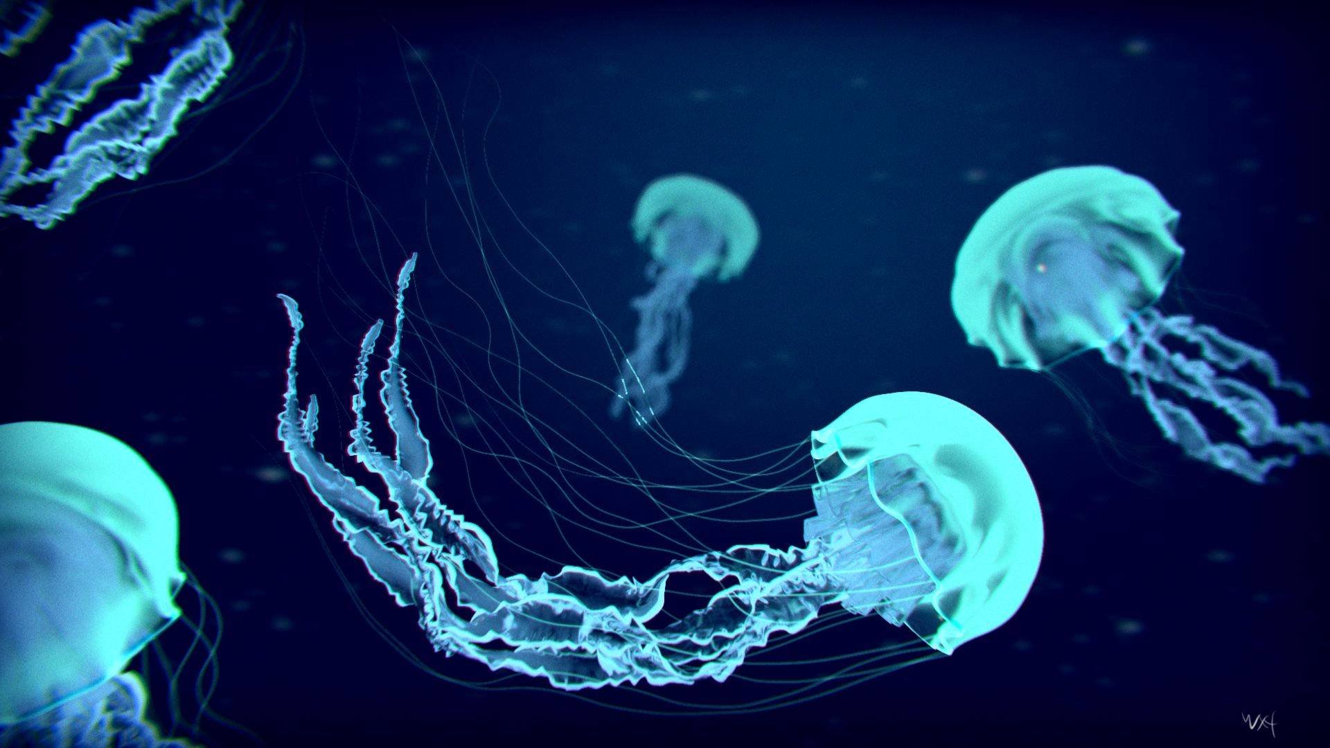 Download full hd 1080p Jellyfish computer wallpaper ID:199652 for free