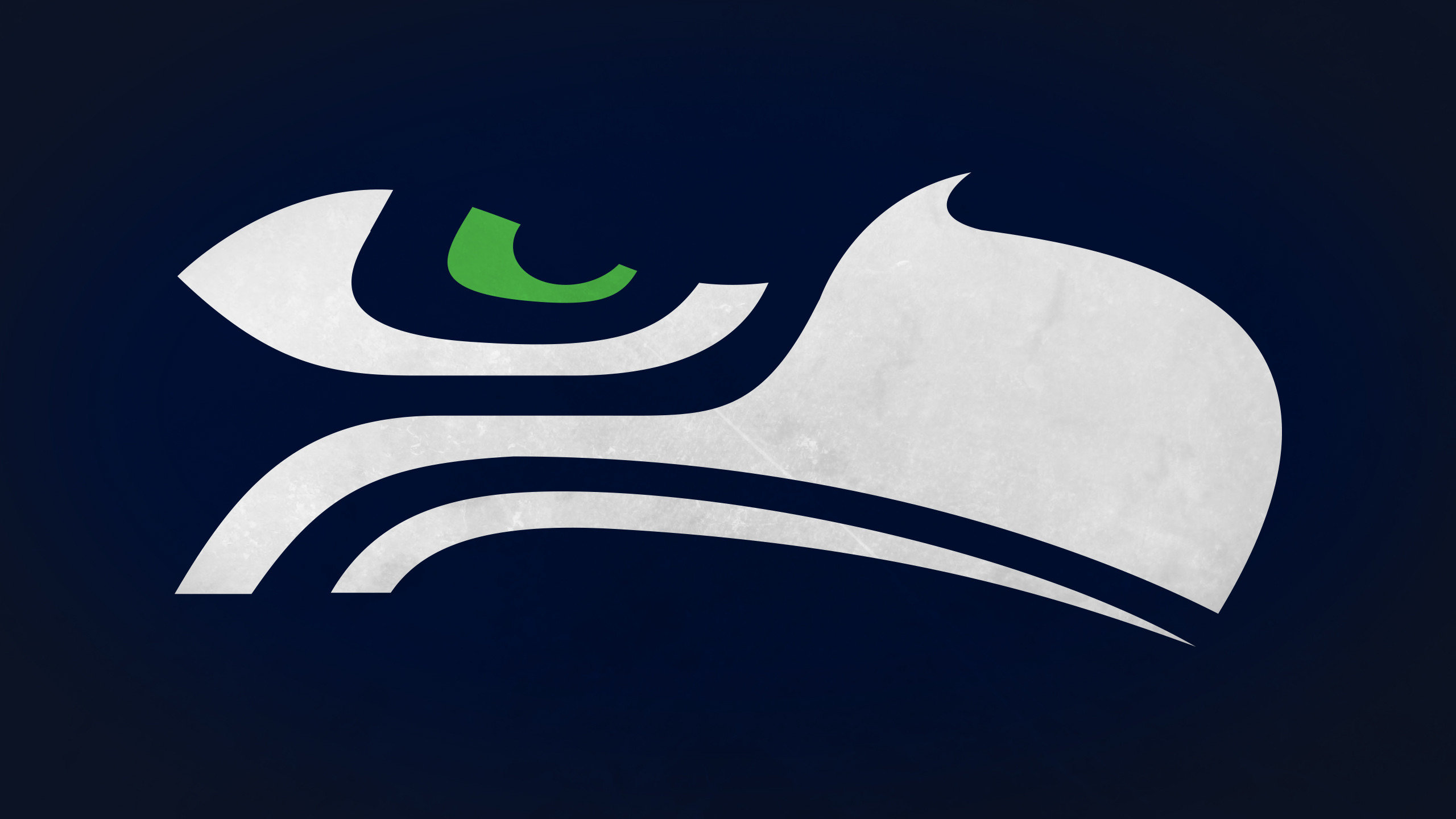 Awesome Seattle Seahawks free background ID:348009 for hd 2560x1440 desktop