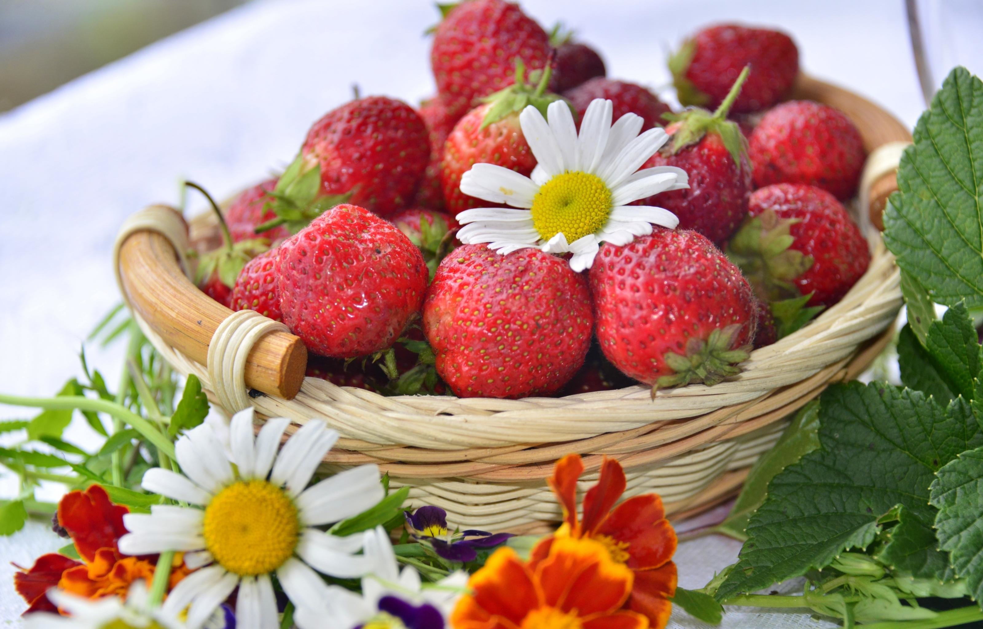 Awesome Strawberry free wallpaper ID:90862 for hd 3200x2048 desktop
