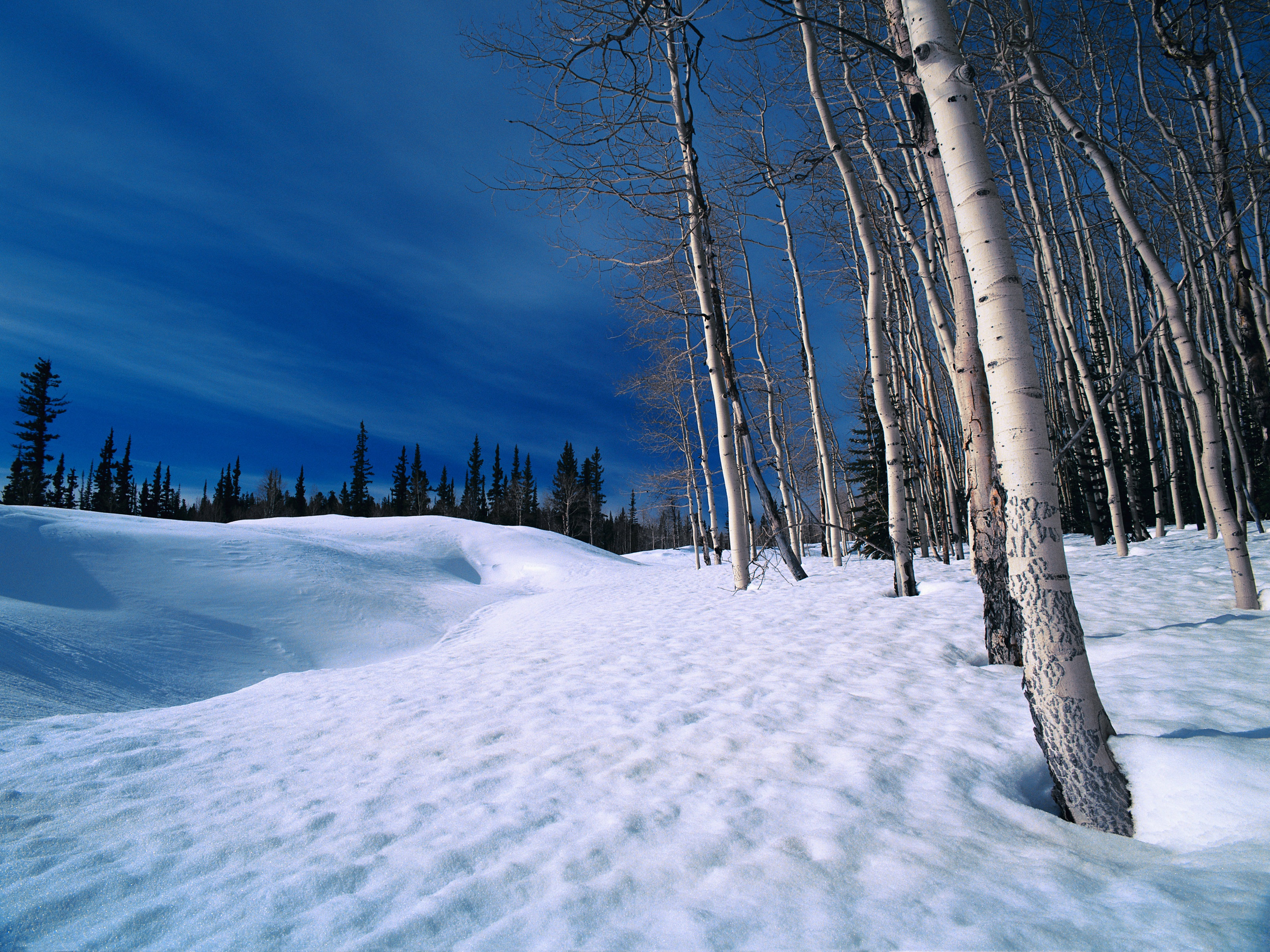 Download hd 3200x2400 Winter desktop background ID:251030 for free