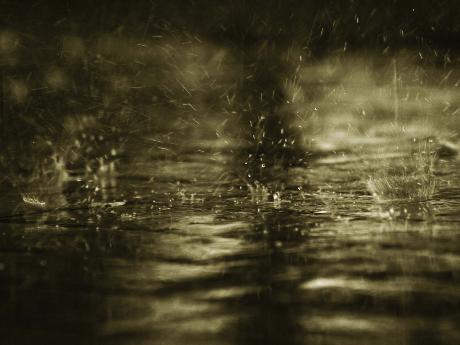 Best Rain background ID:144943 for High Resolution hd 1600x1200 PC