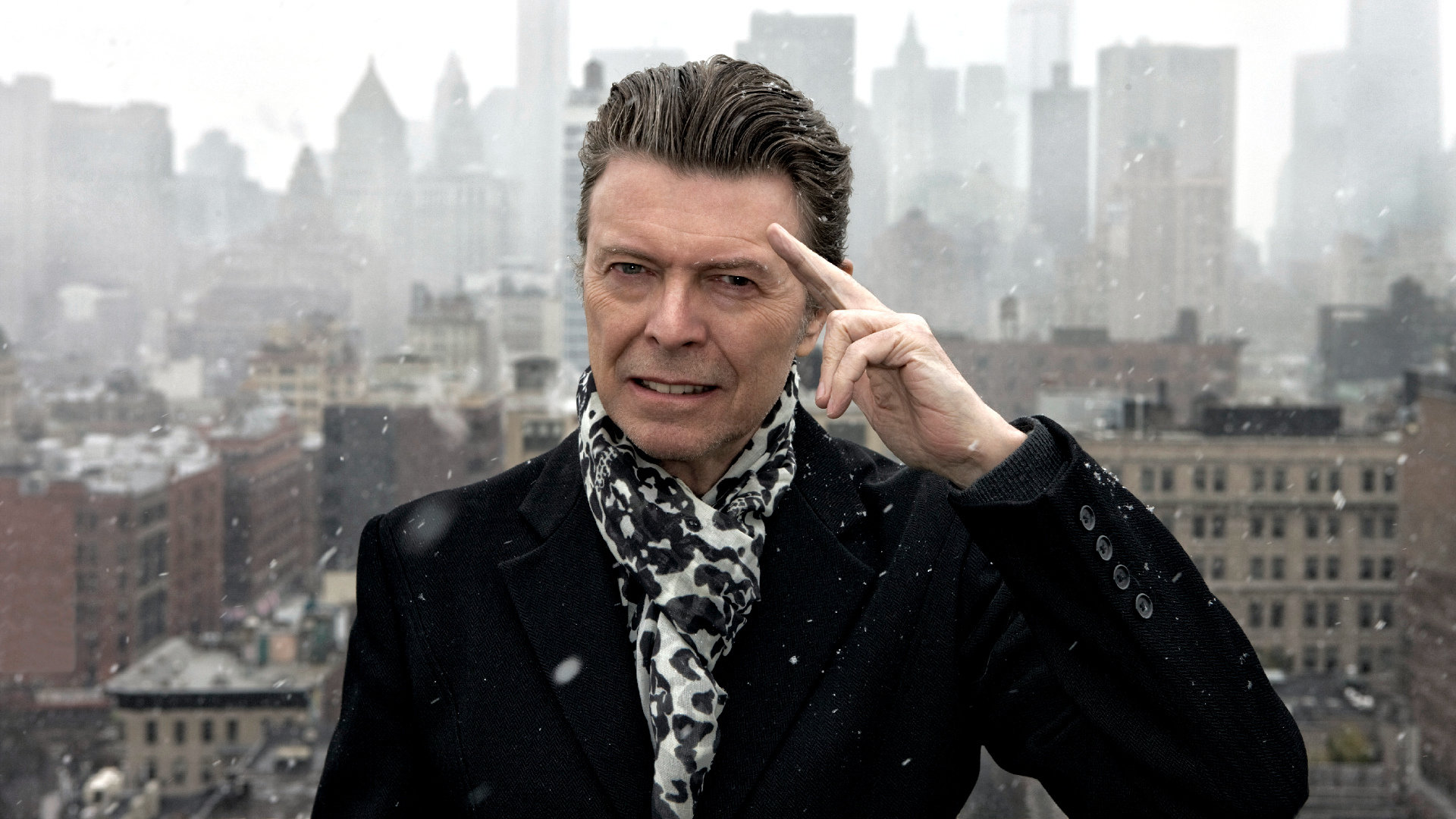 Best David Bowie background ID:135290 for High Resolution 1080p PC