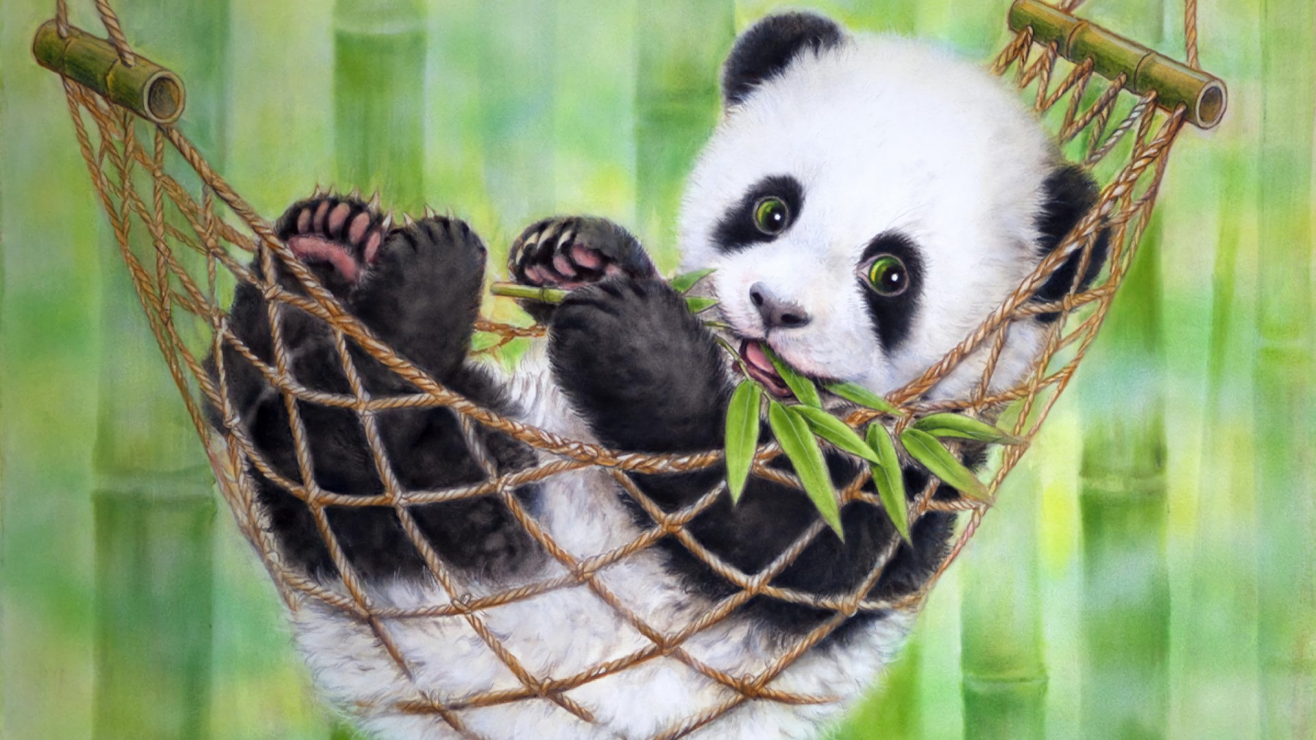 Free Baby Animal (cub) high quality wallpaper ID:300476 for hd 1080p desktop