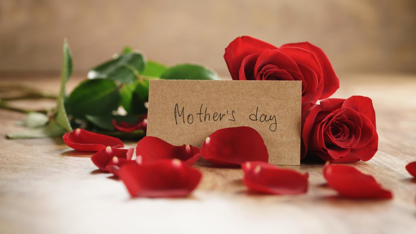 Awesome Mother's Day free background ID:473565 for hd 1600x900 PC