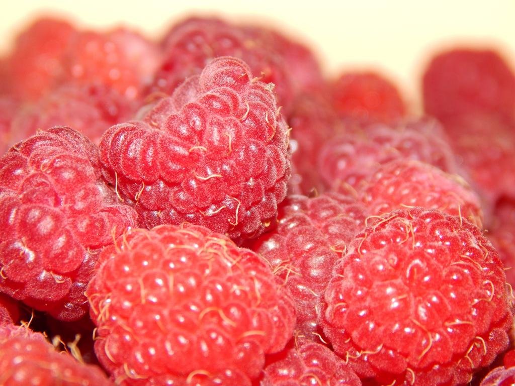 Free Raspberry high quality background ID:50111 for hd 1024x768 PC