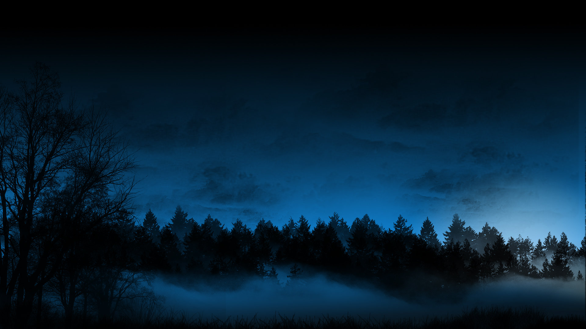 Download 1080p Dark forest PC wallpaper ID:90338 for free