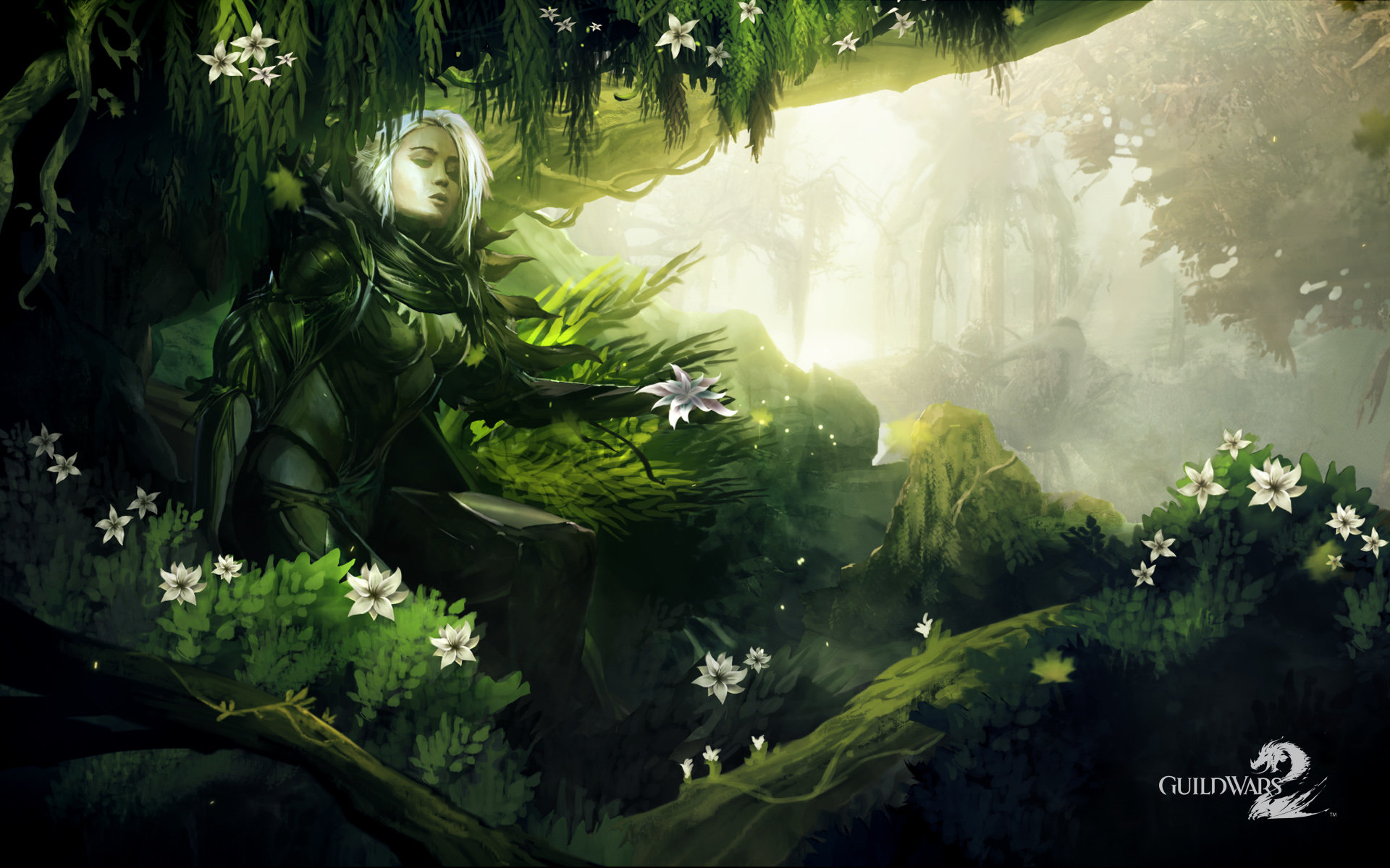 Free Guild Wars 2 high quality background ID:445175 for hd 1920x1200 desktop