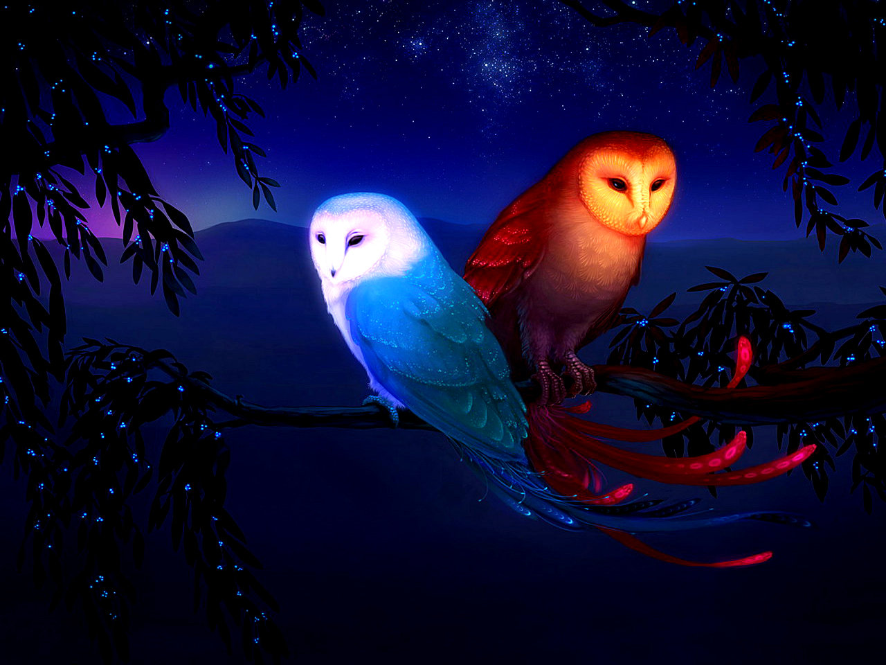 Awesome Owl free background ID:236875 for hd 1280x960 PC