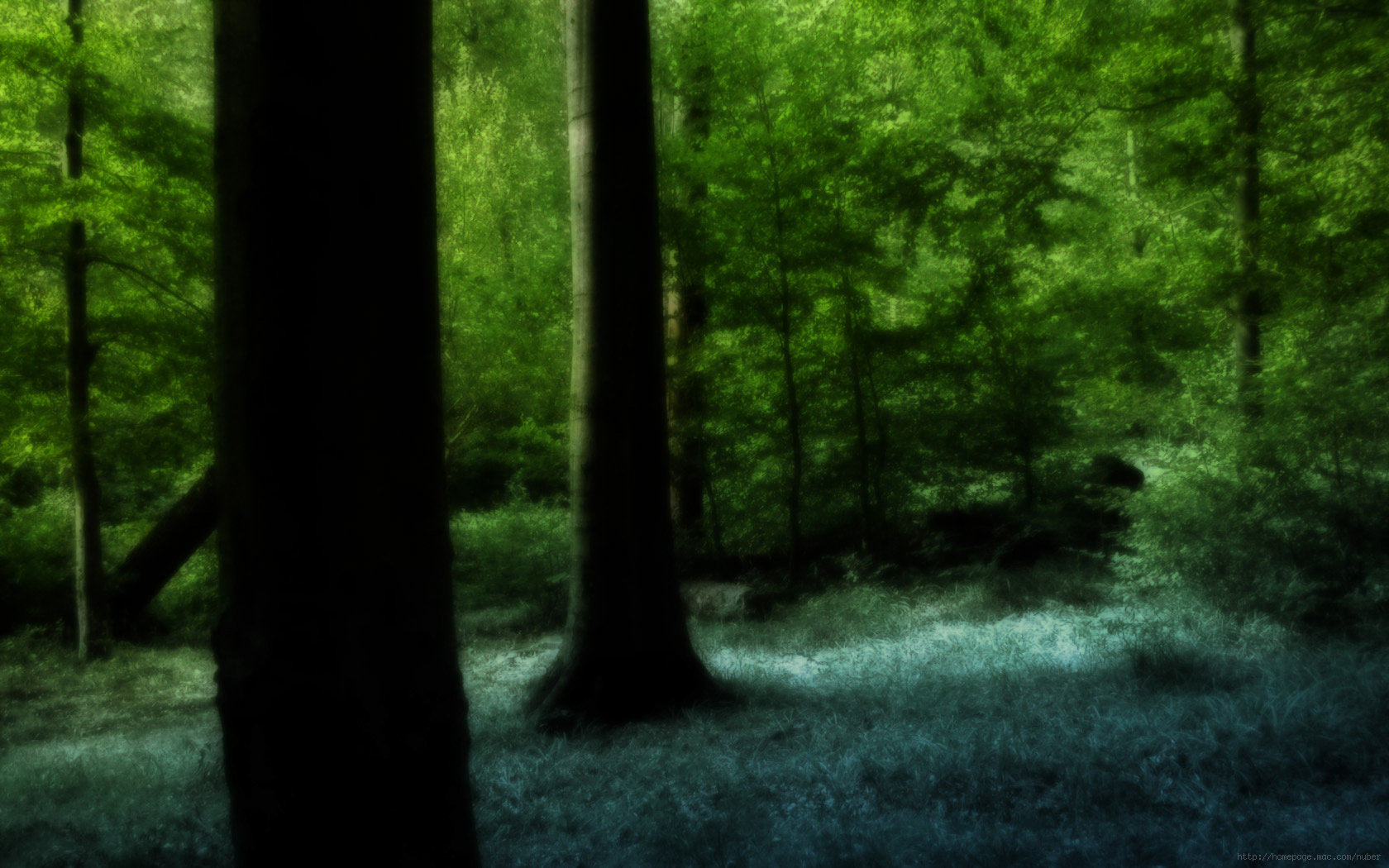High resolution Forest hd 1680x1050 wallpaper ID:348233 for PC