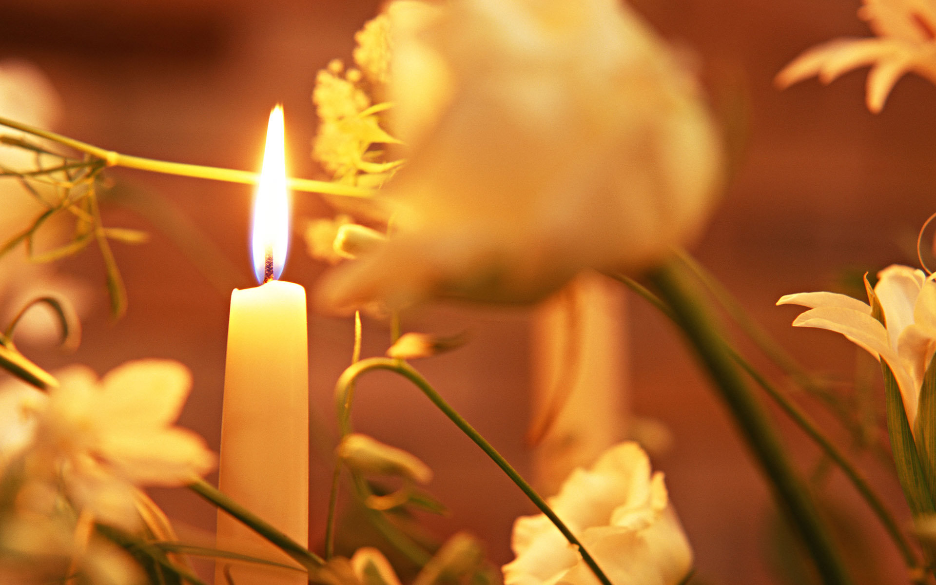 Free Candle high quality wallpaper ID:407681 for hd 1920x1200 computer