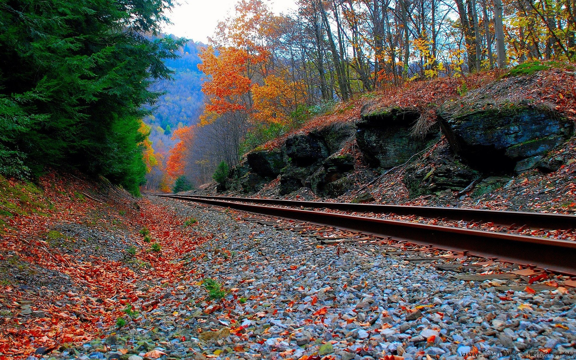 Best Railroad background ID:484056 for High Resolution hd 1920x1200 computer
