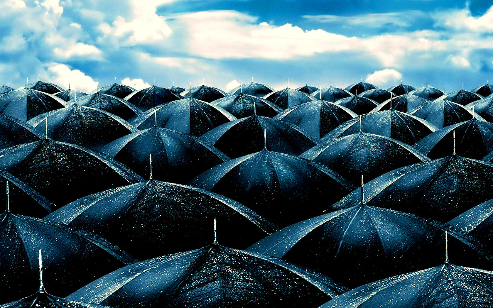 Awesome Umbrella free background ID:375414 for hd 1680x1050 computer
