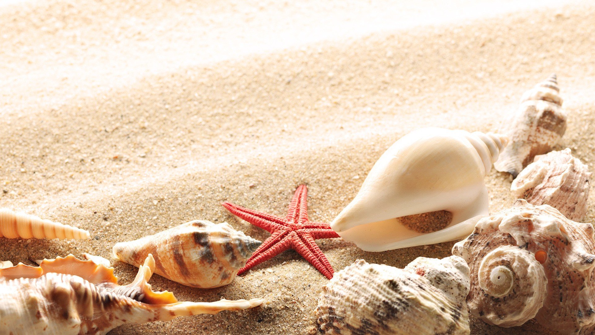 Awesome Shell free wallpaper ID:449983 for hd 1080p desktop