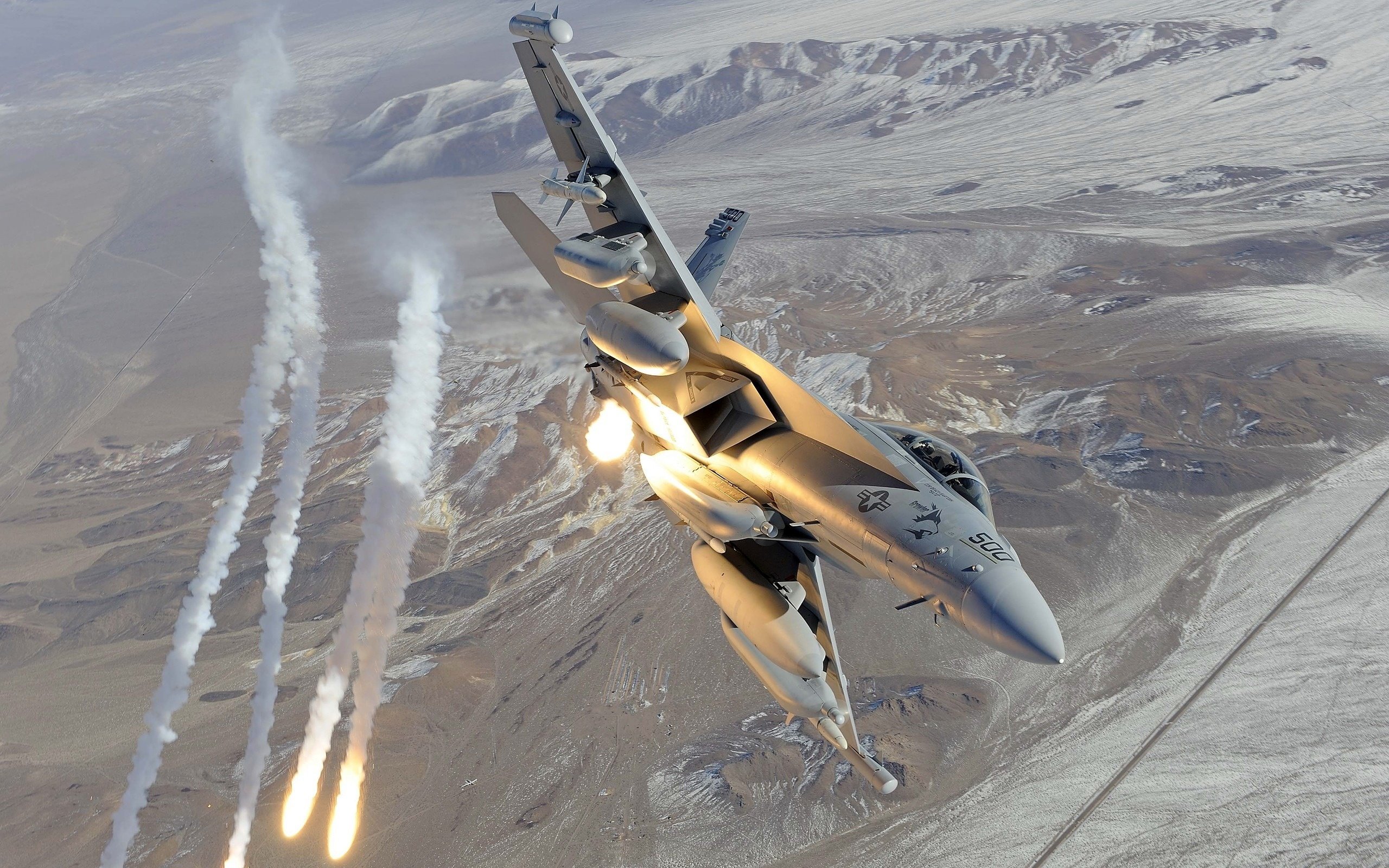 Free Boeing EA-18G Growler high quality background ID:151564 for hd 2560x1600 PC