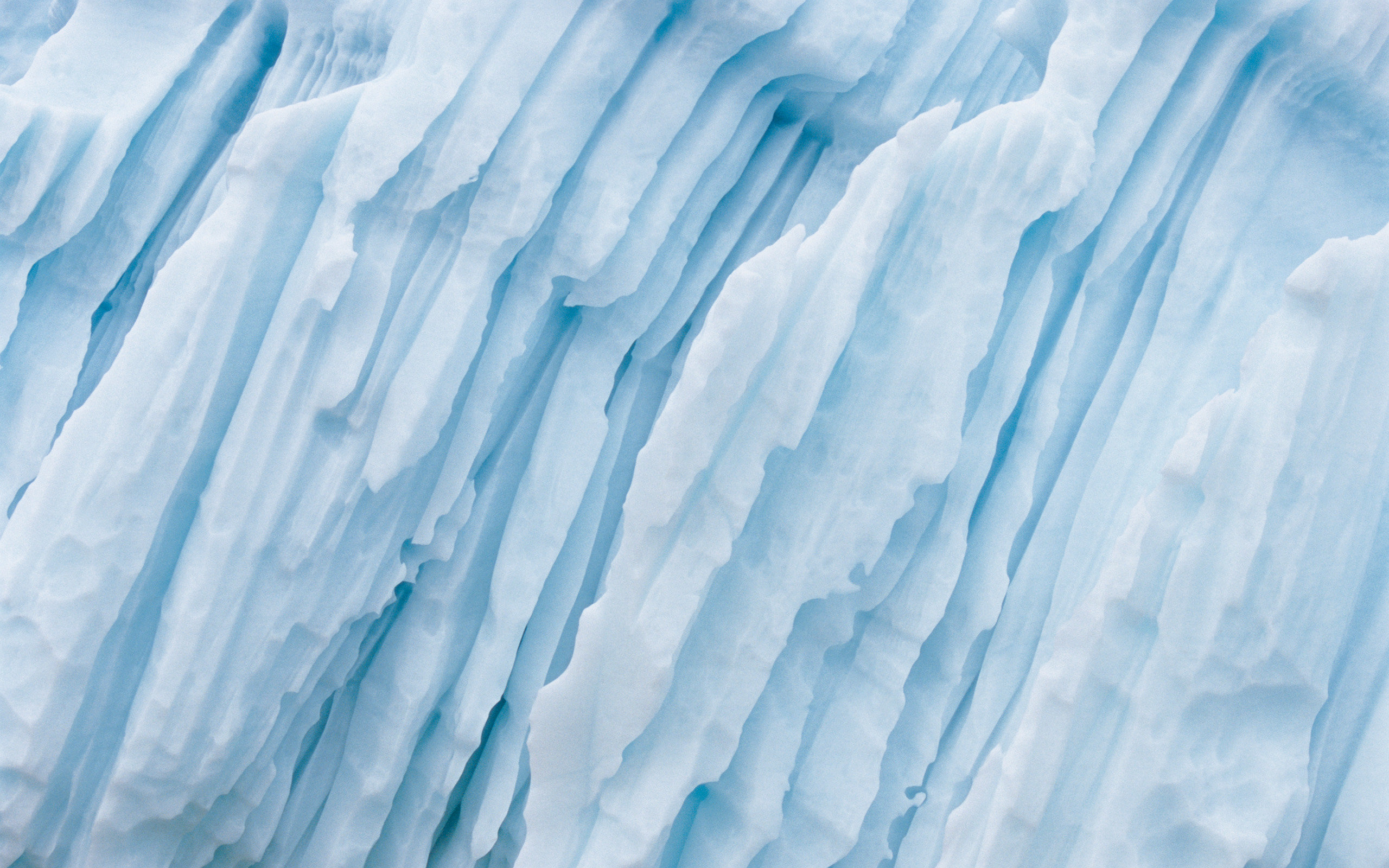 Free download Ice background ID:399336 hd 2560x1600 for desktop