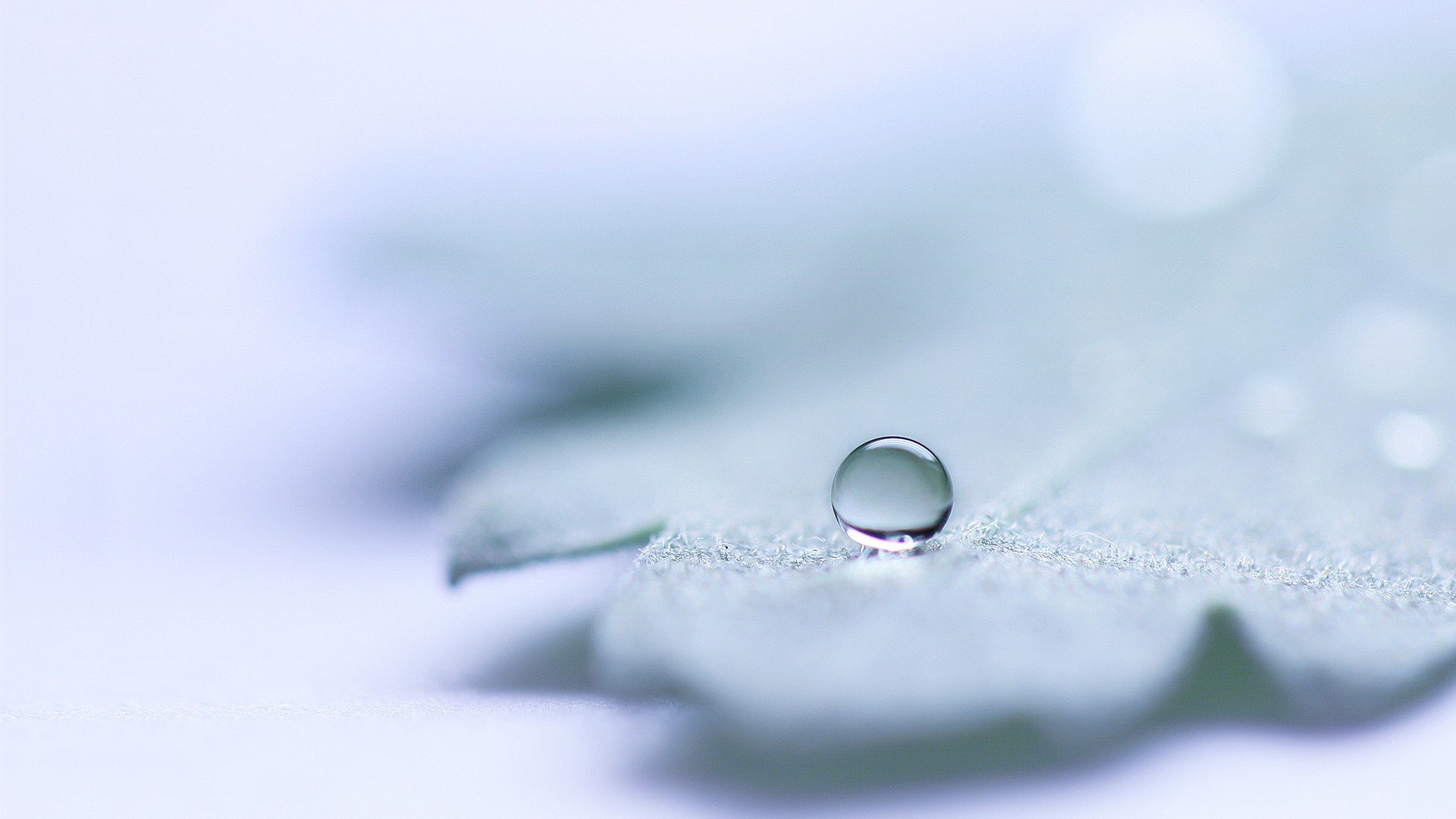 Awesome Water Drop free background ID:430276 for hd 1080p PC