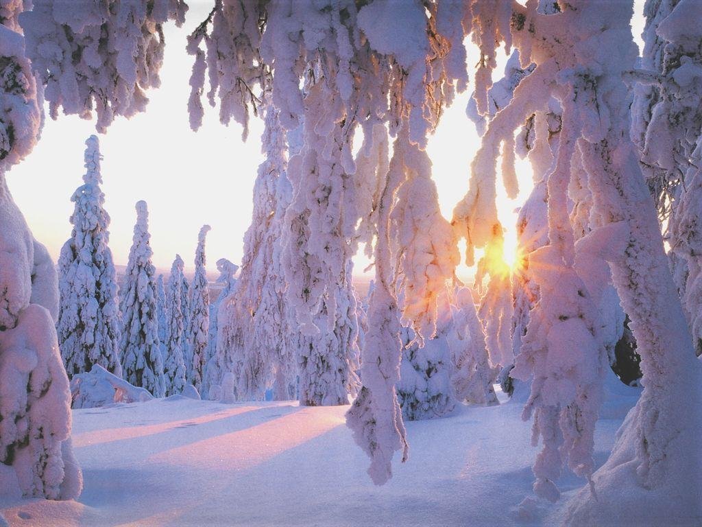 Best Winter background ID:250655 for High Resolution hd 1024x768 PC