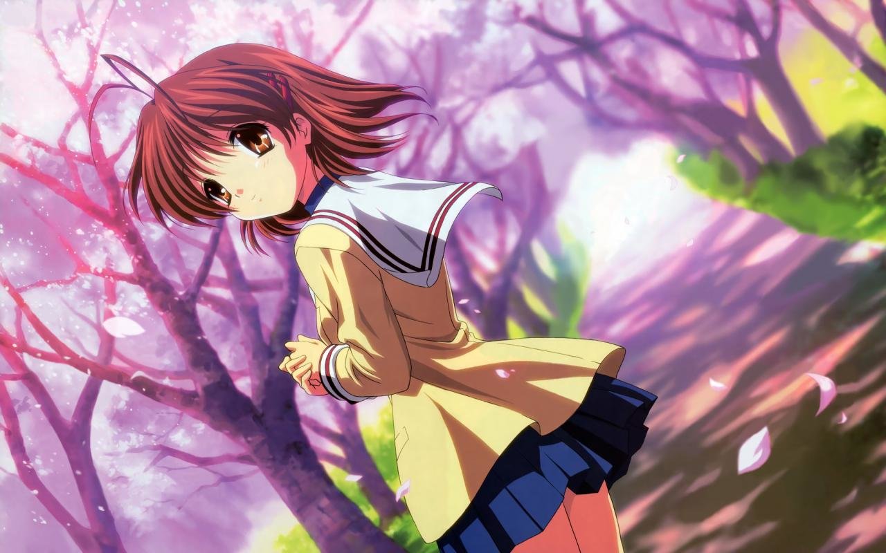 Free download Clannad background ID:318350 hd 1280x800 for desktop