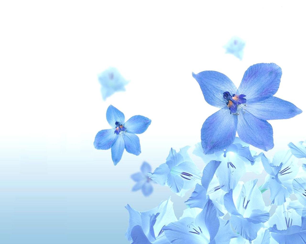 Download hd 1280x1024 Blue Flower desktop wallpaper ID:285789 for free