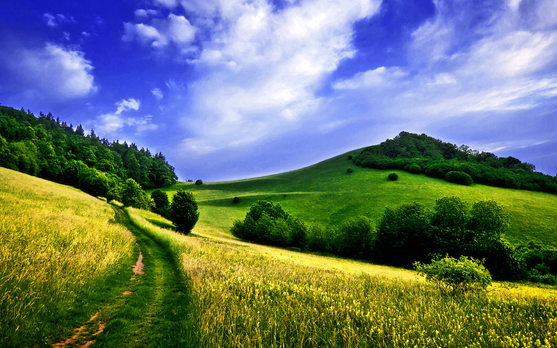 Free Landscape high quality background ID:78533 for hd 1920x1200 computer