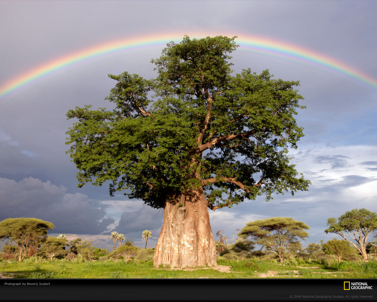 Best Rainbow background ID:402879 for High Resolution hd 1280x1024 computer