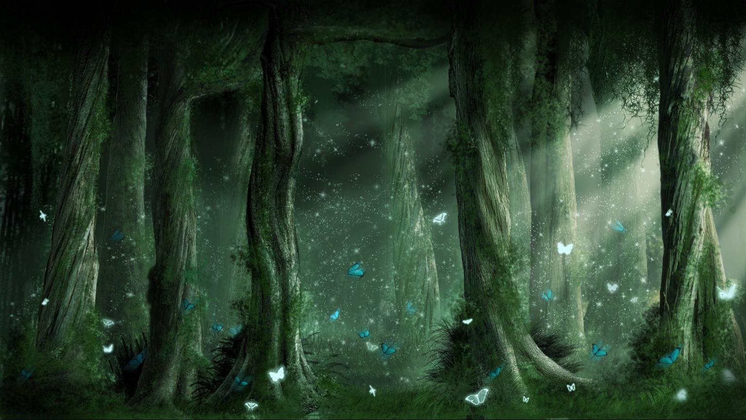 Free Fantasy forest high quality background ID:20335 for hd 1536x864 PC